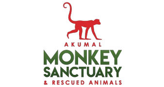 akumalmonkeysanctuary.com