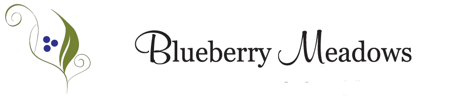 blueberrymeadows.ca