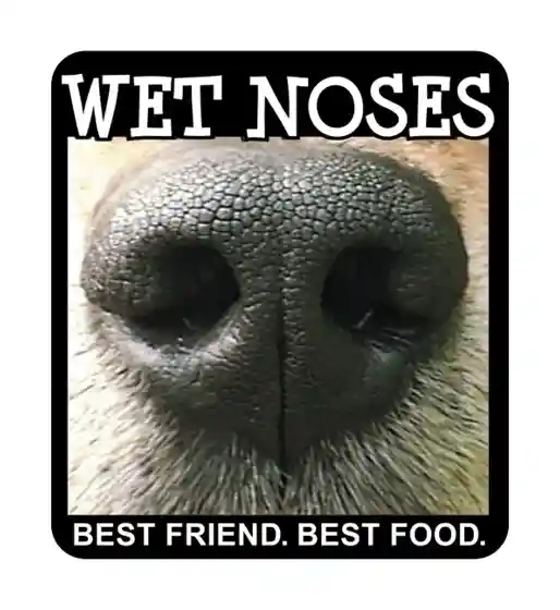 wet-noses.com